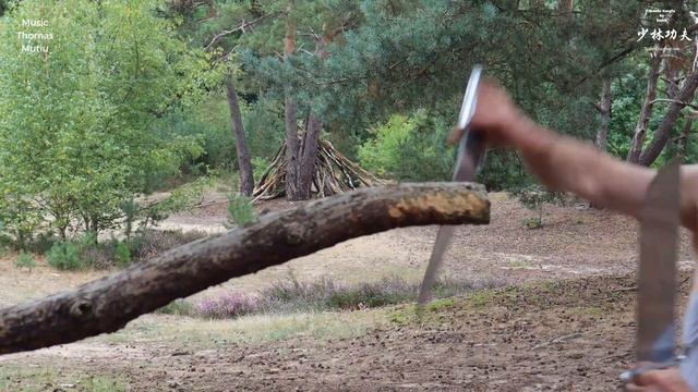 Wing Chun Kuen: The Legend Is Born - online course смотреть онлайн