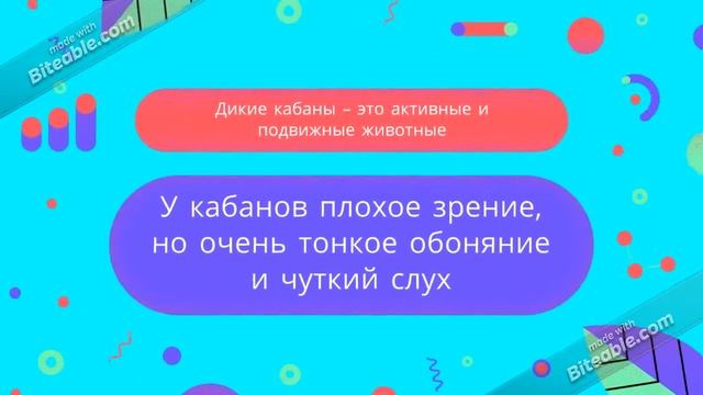 Животный мир на букву К смотреть онлайн