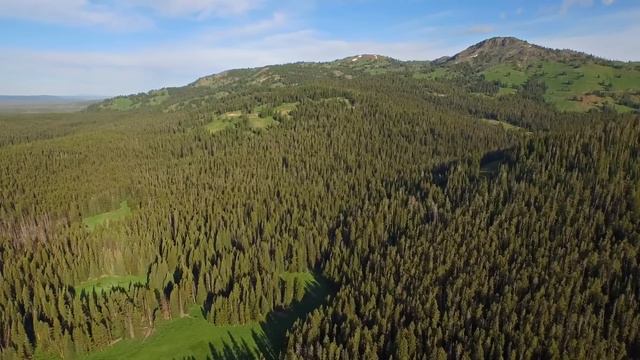 Park Rangers SPILL THE BEANS and REVEAL What Happens at Grand Teton National Park смотреть онлайн