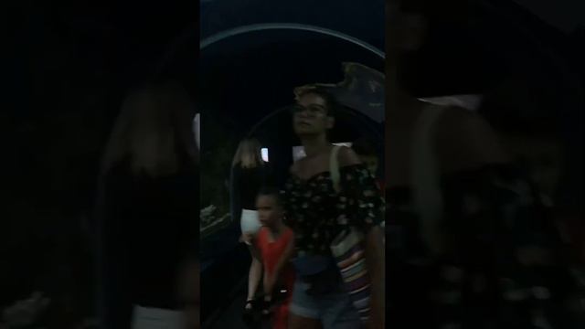 Океанариум в Адлере🐡 смотреть онлайн