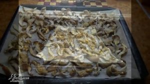 Как правильно сушить грибы в духовке  на зиму