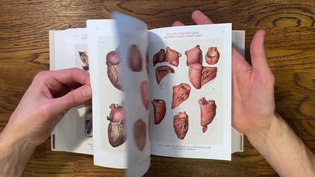Листаю книгу Atlas of Human Anatomy and Surgery смотреть онлайн