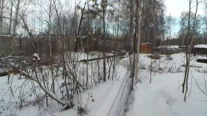 Ловля Серого снегиря.  Красного снегиря.  Чижика.