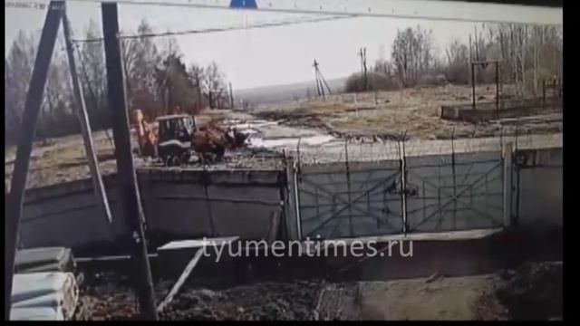 Ребенок чуть не попал под трактор, Тобольск, 06.05.2019 смотреть онлайн