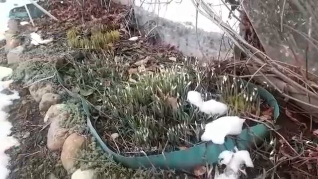 Весна ближе, чем кажется! смотреть онлайн