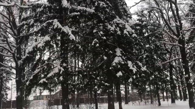 Поздравляю с Новым Годом ! Желаю любви счастья ... смотреть онлайн