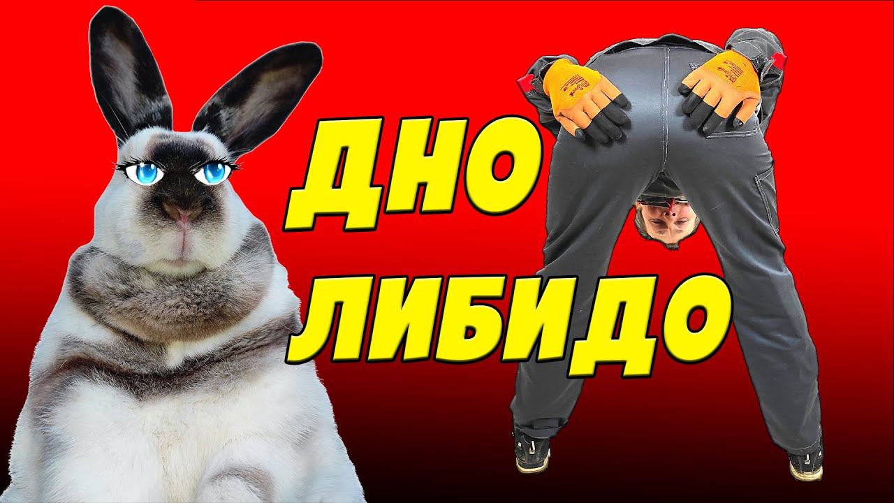 Дно кроличьего либидо смотреть онлайн