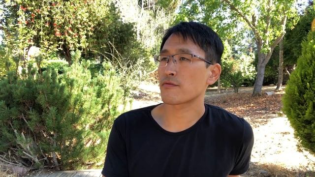 React Native vs Flutter vs WebView - Hybrid Mobile App Development смотреть онлайн