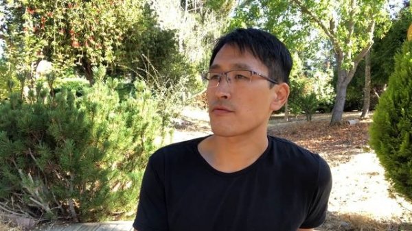 React Native vs Flutter vs WebView - Hybrid Mobile App Development