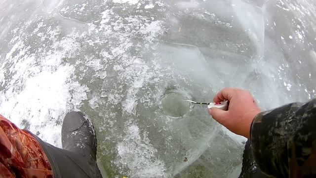 Густера на безмотылку гвоздешарик . смотреть онлайн
