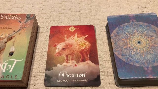 The Spirit Animal Oracle 47/68 Pig Spirit guide book audio description смотреть онлайн