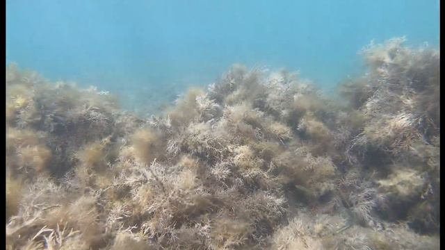 крым 2020часть2 смотреть онлайн