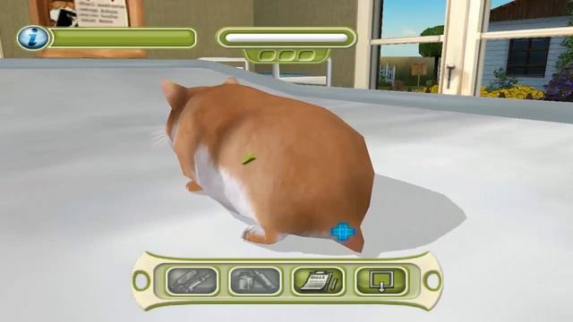 My Vet Practice (Gameplay/PTBR) - Vamos cuidar de animais смотреть онлайн