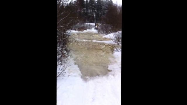 Тайга БАРС зажигает !!! смотреть онлайн