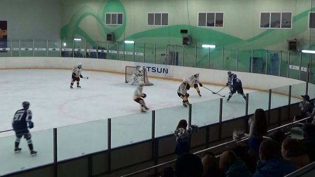 ХК Россошь-ХК Липецк 2период 25.02.15г смотреть онлайн