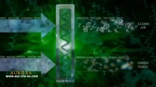 Полноценное клеточное питание. Грин келп смотреть онлайн