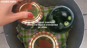 огурцы сухая стерилизация бл