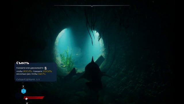 Maneater Русификатор Эпик геймс EGS