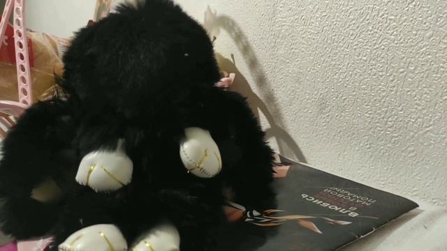 Кто был первым на Луне, размышления Маргариты Сенченковой 22.10.2020 смотреть онлайн