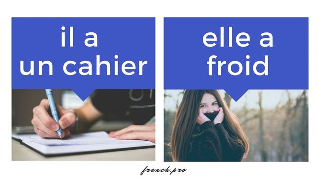 #8. Грамматика. Урок 2. Глагол avoir смотреть онлайн