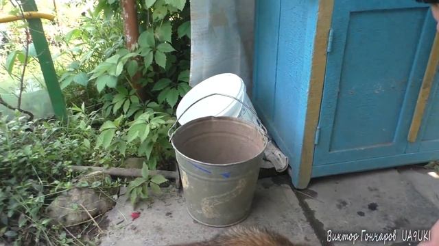 Как помыть посуду на даче смотреть онлайн