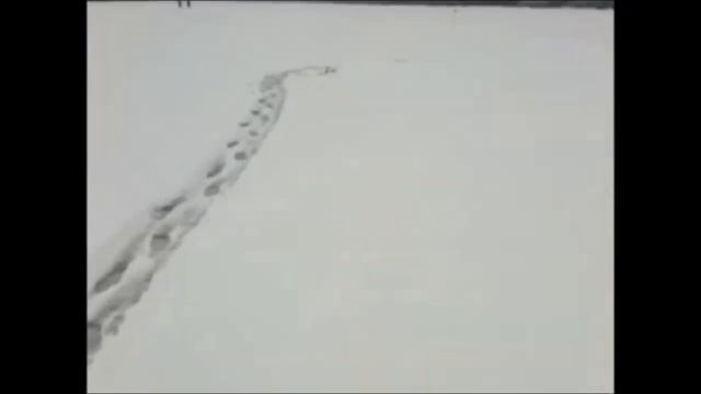 Секрет ловли щуки на жерлицы или почему плохо клюёт. good winter fishing смотреть онлайн