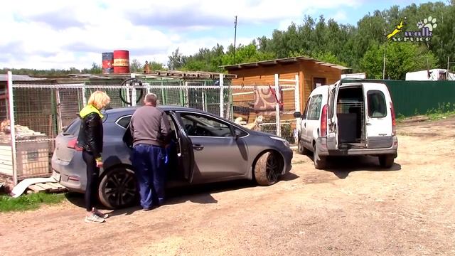 Перевозка животных смотреть онлайн