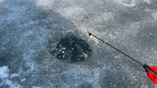 Плотва. Серебро Аргазинского водохранилища. смотреть онлайн