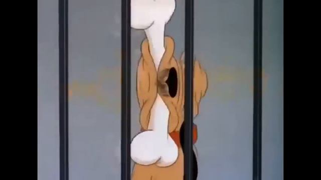 Uzbektilida Multfimlar😇Donald O'rdakning Sarguzashtlari#uzbekistan #multfilm #bolajon #uzbektilida