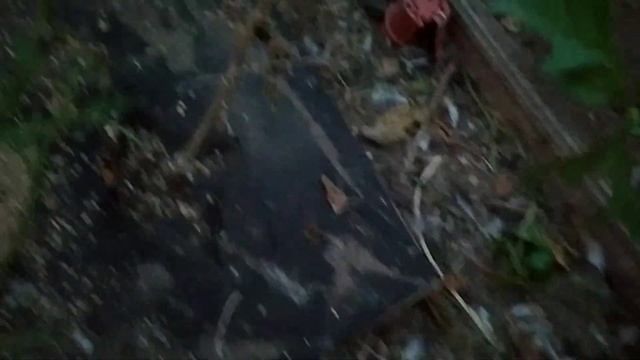 ВЕЧЕР В ДЕРЕВНЕ смотреть онлайн