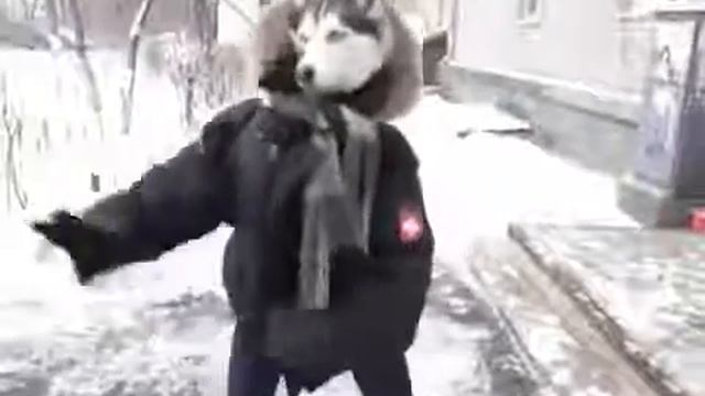 Лучшее 3 секундное видео в сети 1 смотреть онлайн