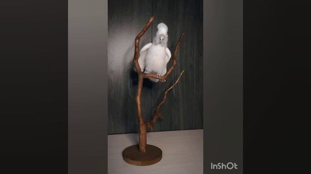 Попугай какаду, связан по фото заказчицы. смотреть онлайн