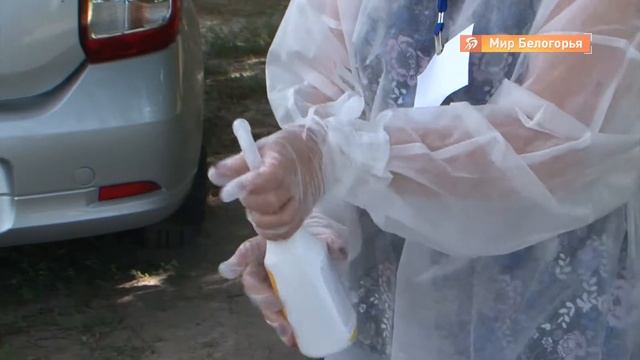 Как проголосовать по поправкам на дому смотреть онлайн