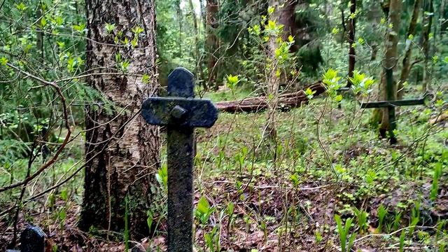 Могилы разрыты или осели?! Лютеранское кладбище близ урочища Нечеперть. (Лен.обл). смотреть онлайн