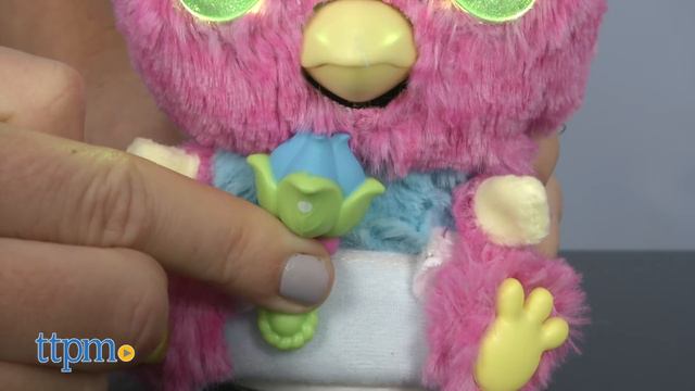Play Lab | Hatchimals Hatchibabies And Hatchimals Mystery From Spin Master