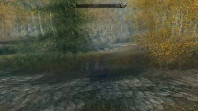 Only 1% of players know this NPC in Skyrim смотреть онлайн