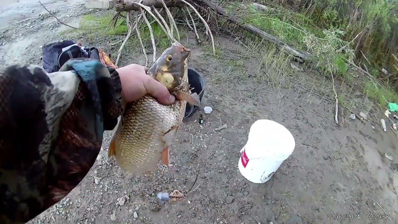 Очередной день на берегу прекрасной реки. Очередное ведро язя. смотреть онлайн