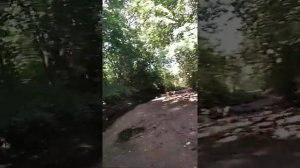 Путешествуем по Новгородской обл. Интересные места.
