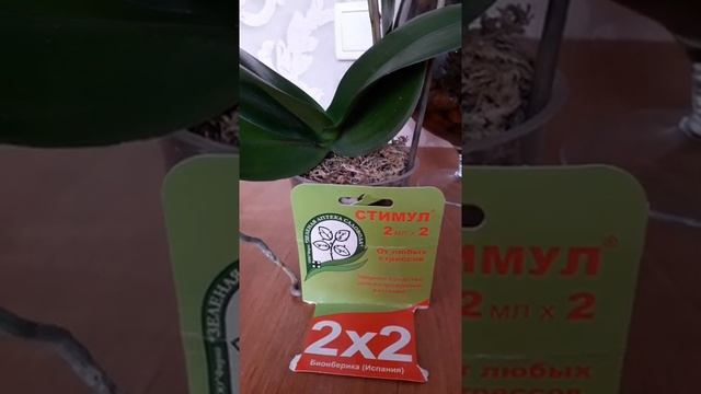 Стимул для орхидей,ударное средство для восстановления смотреть онлайн