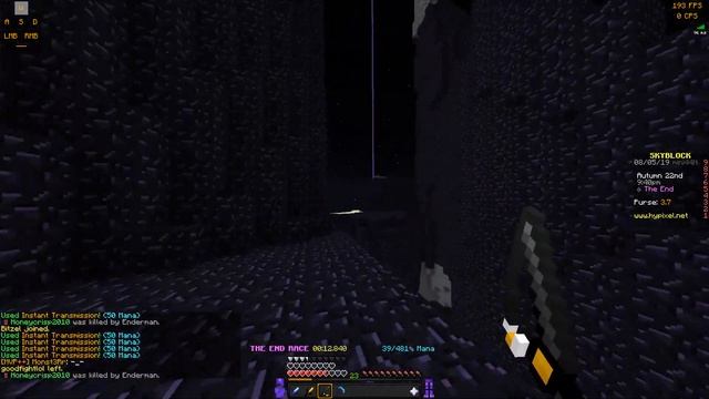 Hypixel SkyBlock how to do The End Race in under 48 seconds (pigs foot talisman) смотреть онлайн