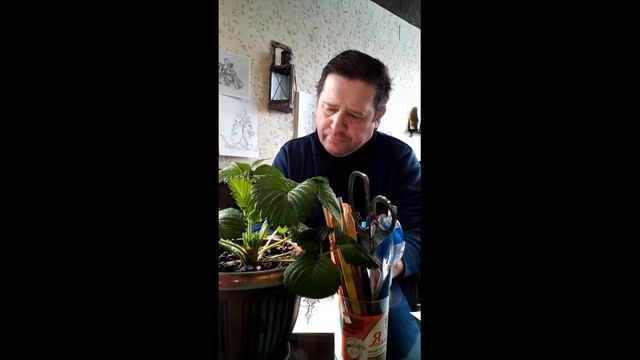 Чиновники научитесь - Говорить спасибо Мастерам спасибо при жизни! смотреть онлайн