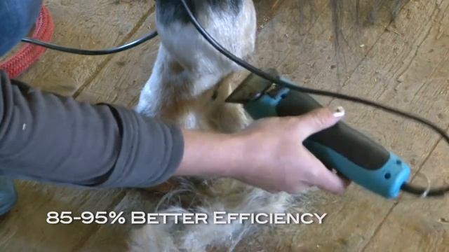 WAHL KM10 BRUSHLESS CLIPPER