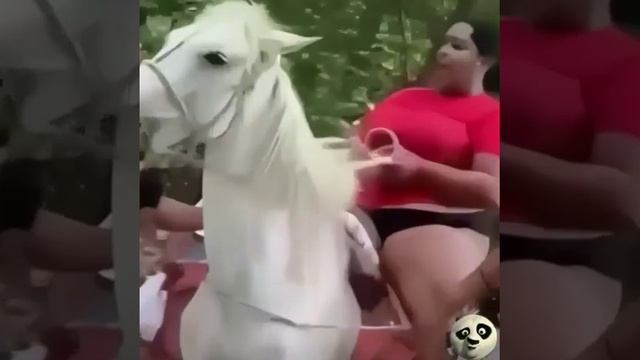 бедная лошадка))) смотреть онлайн