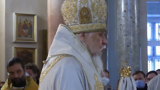 День рождения Димитриевской школы 17 лет смотреть онлайн