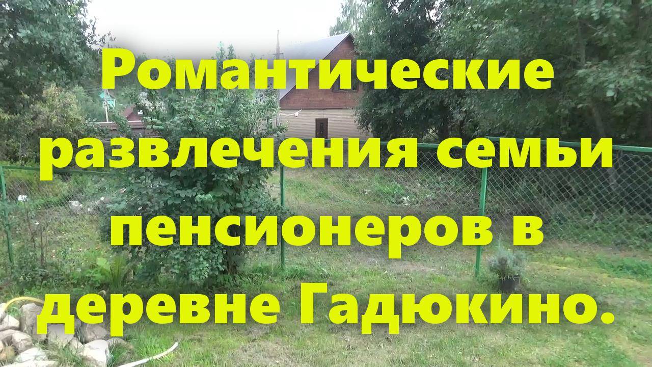 Отчаянные пенсионеры России сегодня, в августе 2024. Дневник сельского пенсионера. смотреть онлайн