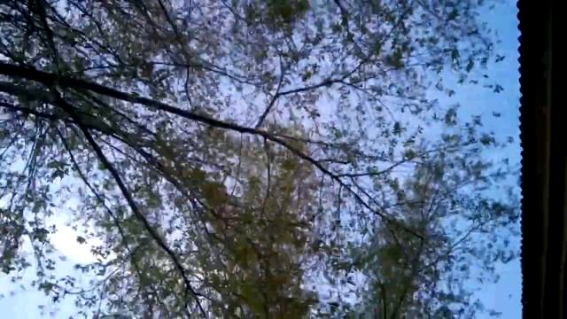 ишим!!!!эстафета в самом сердце города!!!!!relay in the downtown смотреть онлайн