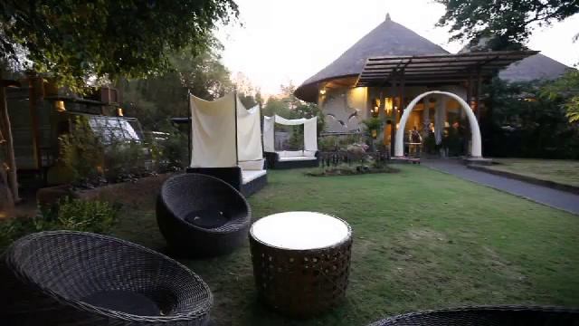 Bali Safari and Marine Park Night Safari смотреть онлайн