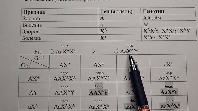 Генетика. Задачи. Часть 14. Один признак - два типа наследования. Расщепление по фенотипу 9:7. смотреть онлайн