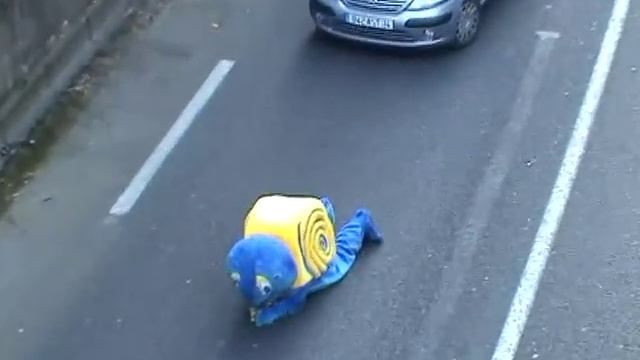 Пробка из-за улитки на дороге смотреть онлайн
