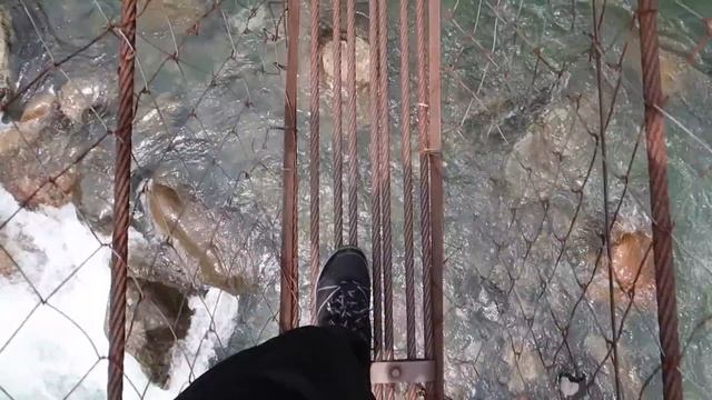 Going to the RAINIEST Place on Earth | Rare Planet from YouTube смотреть онлайн